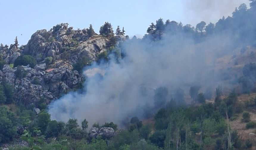 Son dakika! Alanya Çayarası Yaylası'nda yangın çıktı