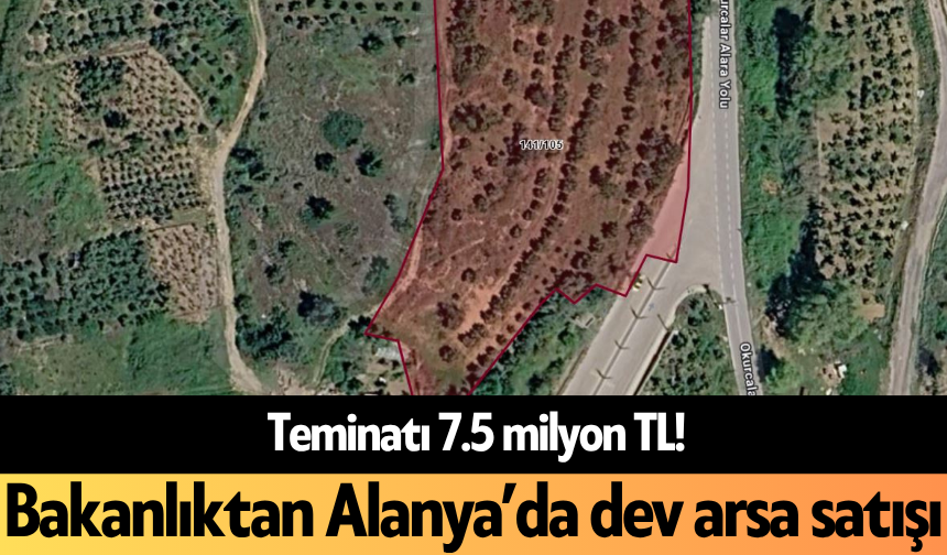 Teminatı 7.5 milyon TL! Bakanlıktan Alanya’da dev arsa satışı