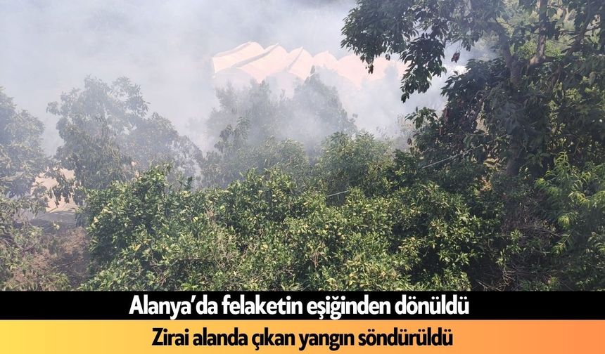 Alanya’da zirai alanda çıkan yangın söndürüldü