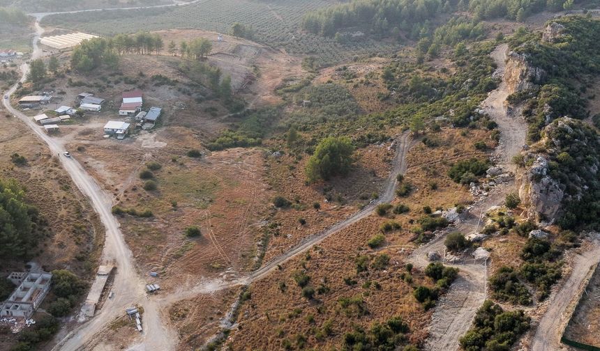 Manavgat’ta sokak hayvanlarına 75 dönümlük yaşam alanı müjdesi