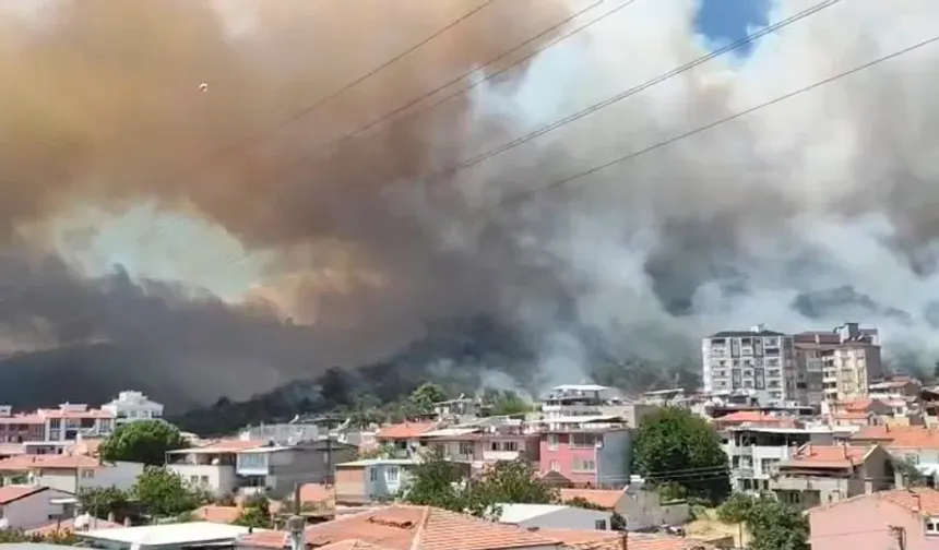 Son dakika l Edremit'te yangın kontrol altında