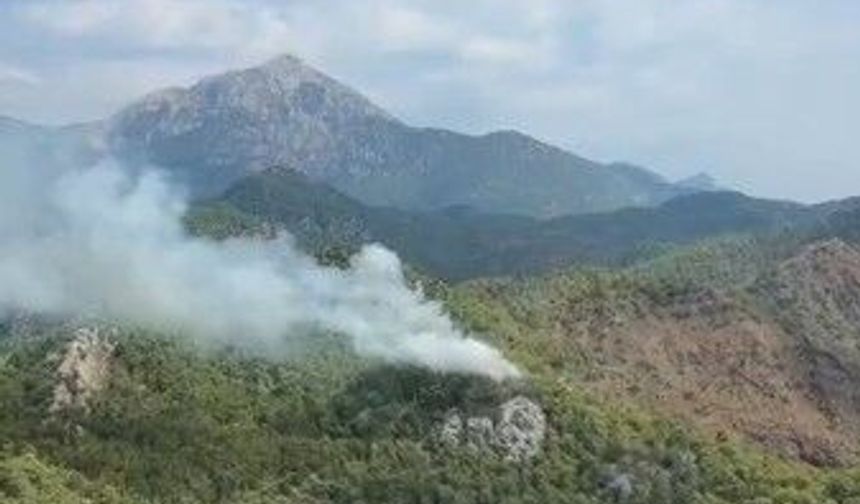 Antalya'da orman yangını söndürüldü