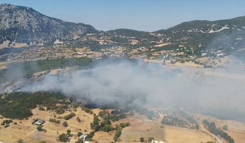 Antalya'da yangın ormana sıçradı! 4 helikopter ve uçak görevde