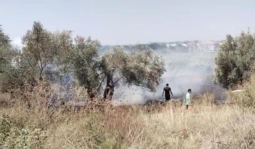 Manavgat’ta yangın yerleşime ulaşmadan söndürüldü