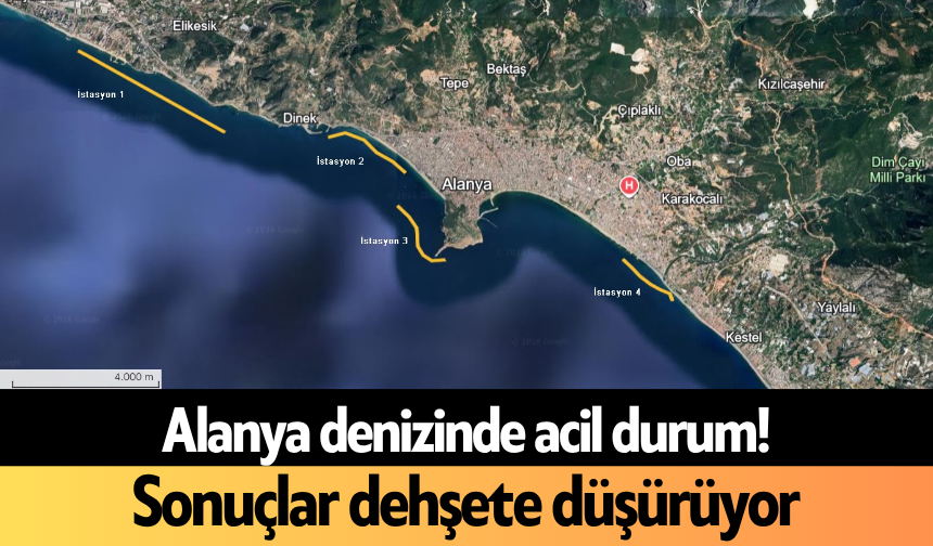 Alanya denizinde acil durum! Sonuçlar d*hşete düşürüyor