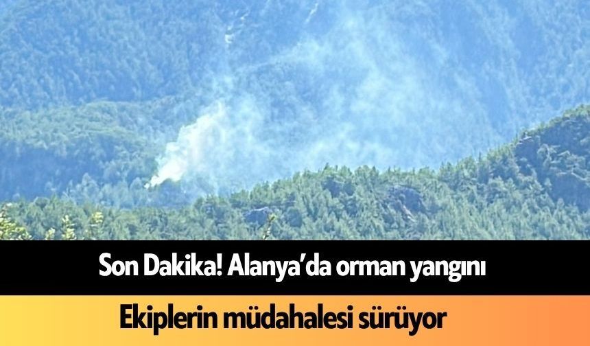 Son Dakika! Alanya'da orman yangını başladı