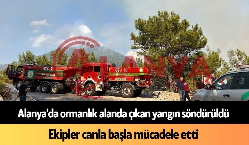 Alanya’da çıkan orman yangını kontrol altına alındı