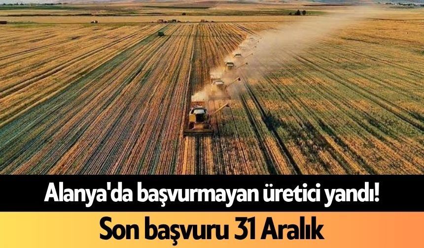 Alanya'da başvurmayan üretici yandı