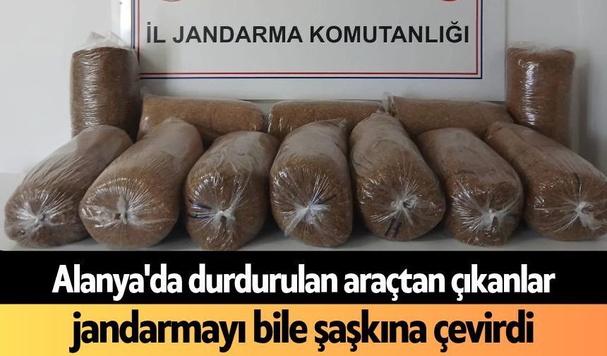 Alanya'da durdurulan araçtan çıkanlar jandarmayı bile şaşkına çevirdi