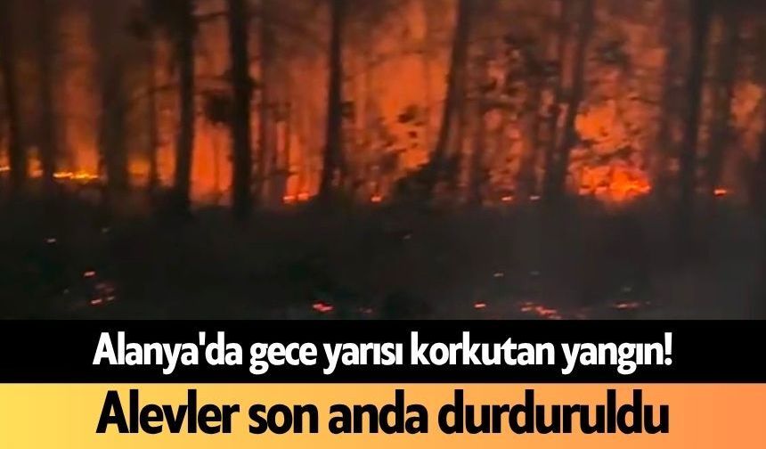 Alanya'da gece yarısı korkutan yangın! Alevler son anda durduruldu