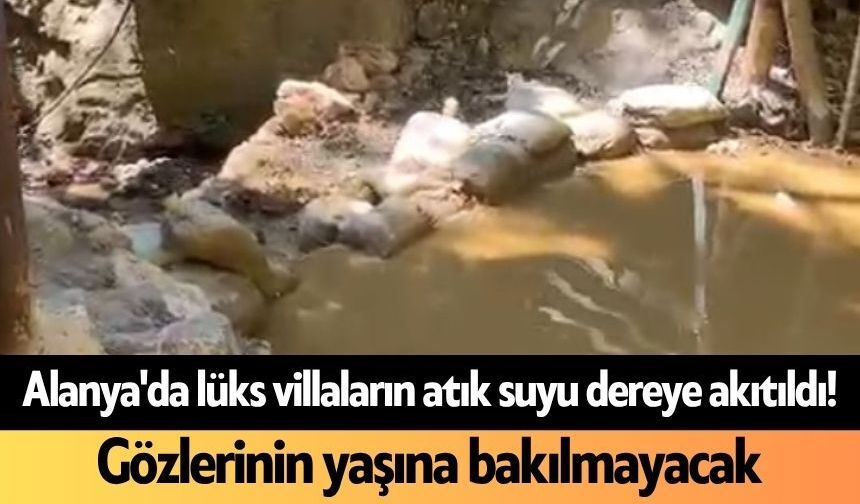 Alanya'da lüks villaların atık suyu dereye akıtıldı! Gözlerinin yaşına bakılmayacak