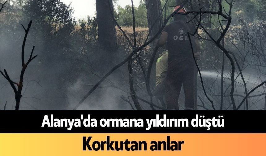 Alanya'da ormana yıldırım düştü