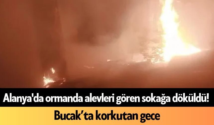 Alanya'da ormanda alevleri gören sokağa döküldü