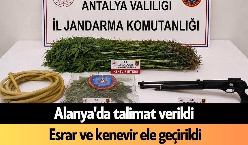 Alanya'da talimat verildi: Esrar ve kenevir ele geçirildi