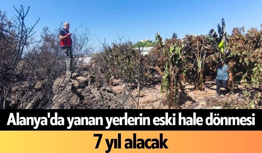 Alanya'da yanan yerlerin eski hale dönmesi 7 yıl alacak