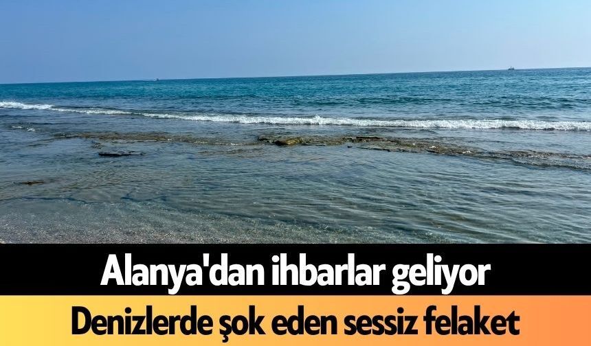 Alanya'dan ihbarlar geliyor: Denizlerde şok eden sessiz felaket