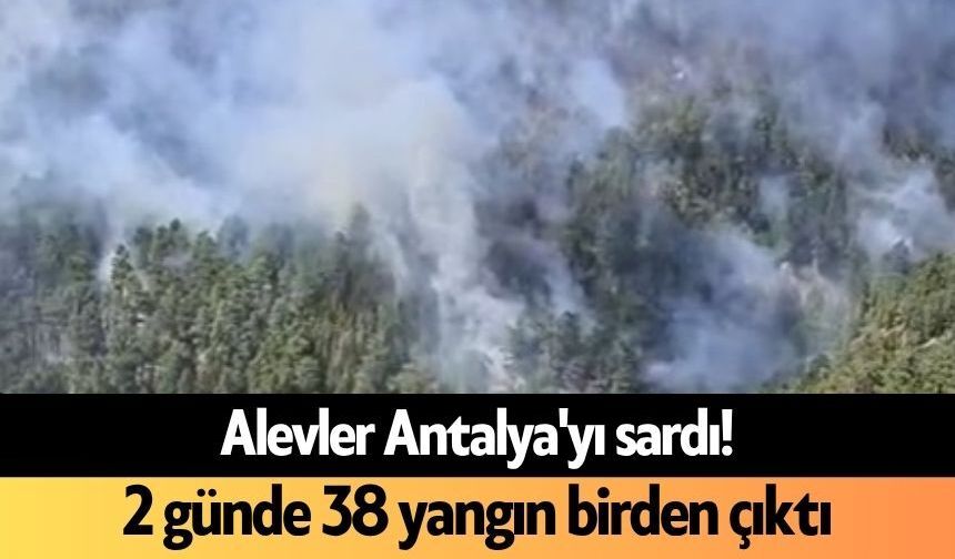 Alevler Antalya'yı sardı! 2 günde 38 yangın birden çıktı