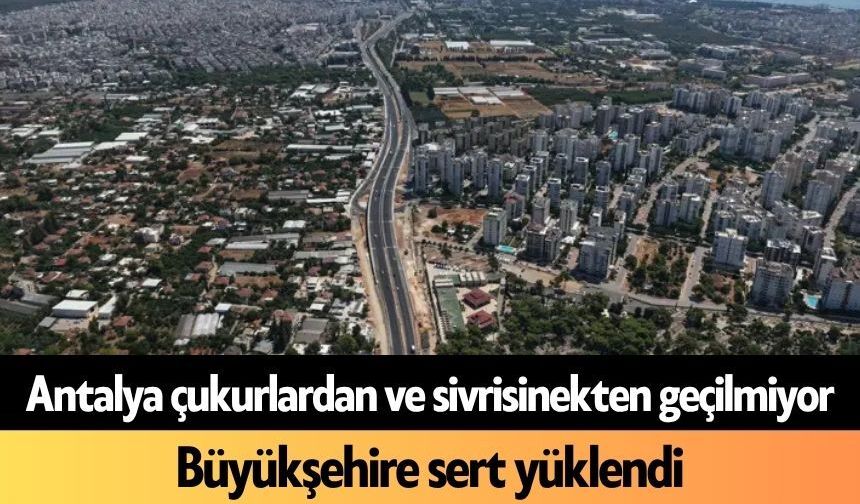 Antalya çukurlardan ve sivrisinekten geçilmiyor: Büyükşehire sert yüklendi