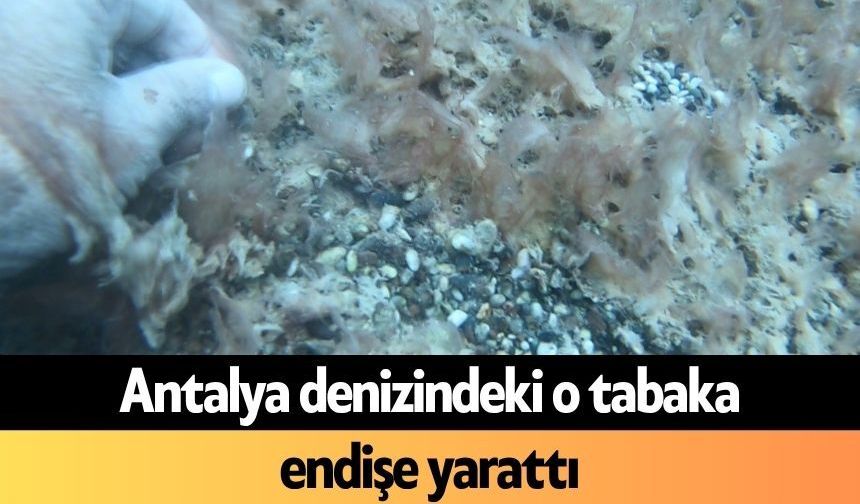 Antalya denizindeki o tabaka endişe yarattı