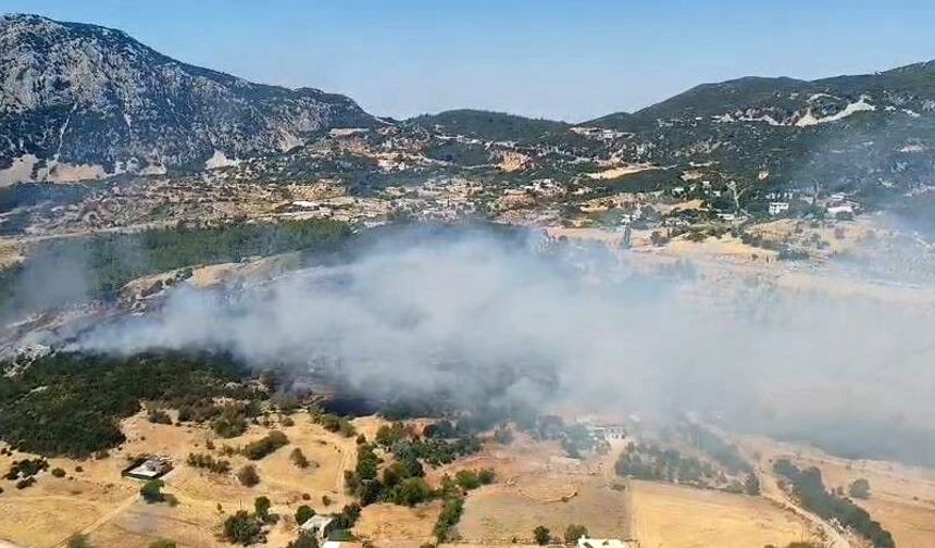 Antalya Kaş'ta çıkan orman yangınından haber var