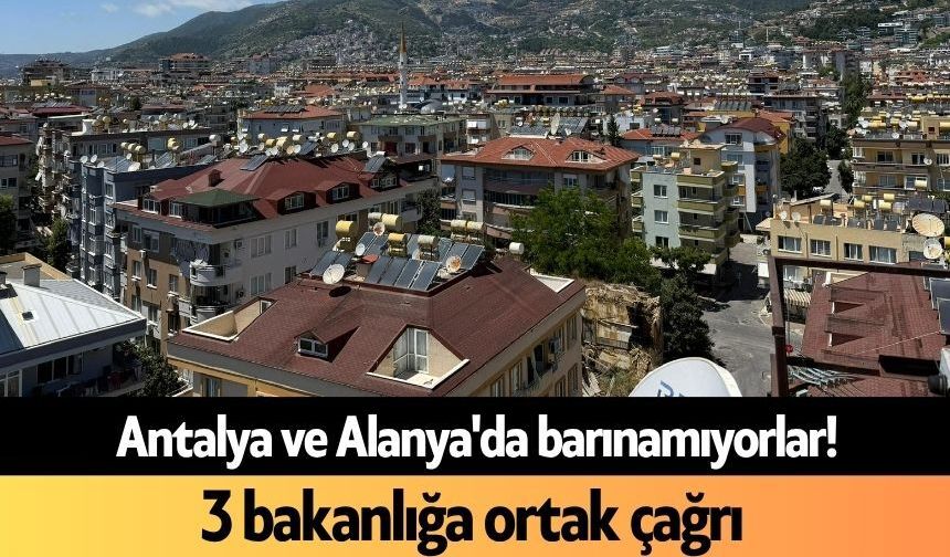 Antalya ve Alanya'da barınamıyorlar! 3 bakanlığa ortak çağrı