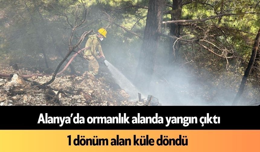 Alanya’da ormanlık alanda yangın çıktı: 1 dönüm alan küle döndü
