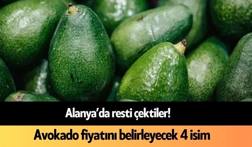 Alanya’da resti çektiler! Avokado fiyatını belirleyecek 4 isim aranıyor