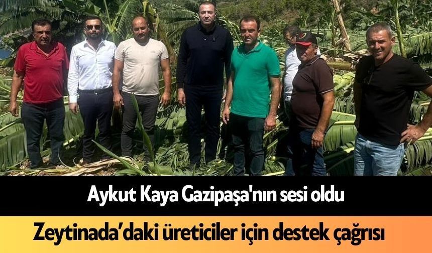 Aykut Kaya Gazipaşa'nın sesi oldu: Zeytinada’daki üreticiler için destek çağrısı