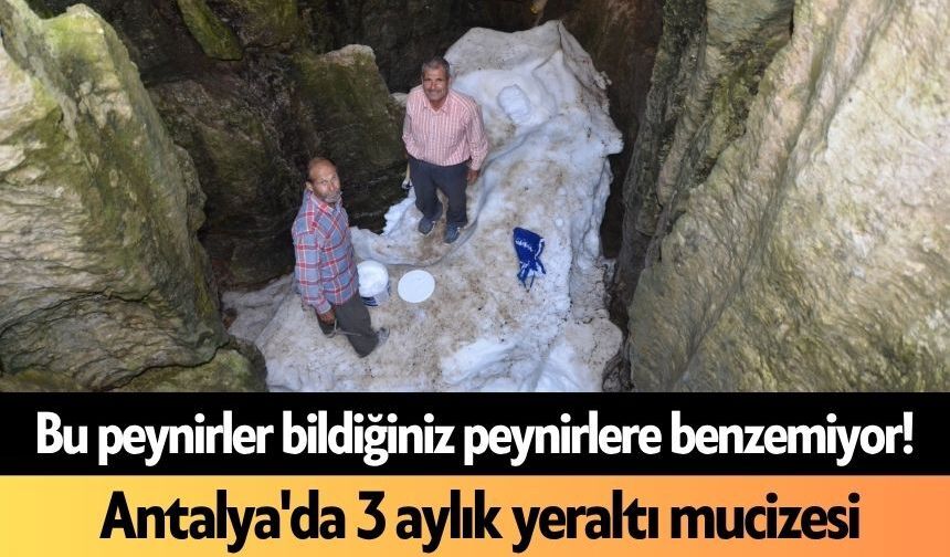 Bu peynirler bildiğiniz peynirlere benzemiyor! Antalya'da 3 aylık yeraltı mucizesi