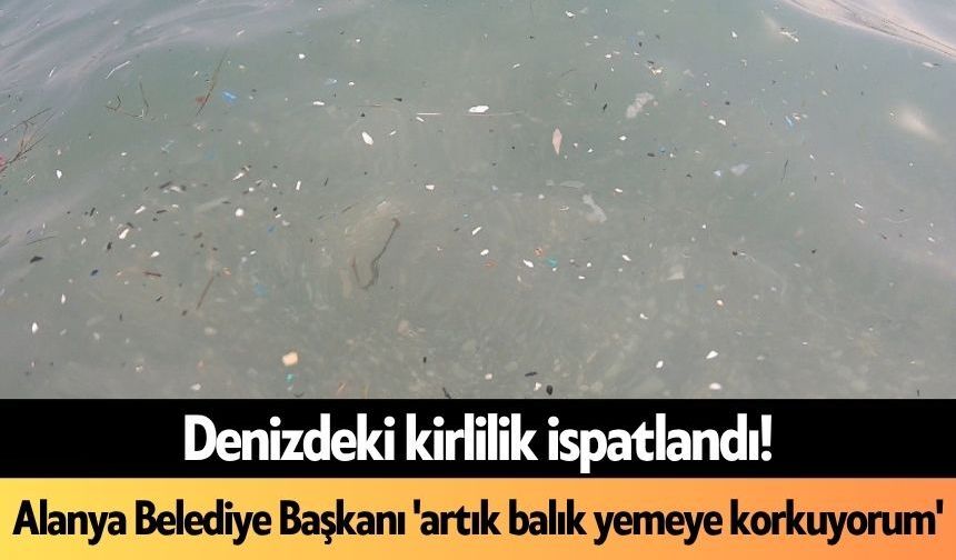 Denizdeki kirlilik ispatlandı! Alanya Belediye Başkanı 'artık balık yemeye korkuyorum'