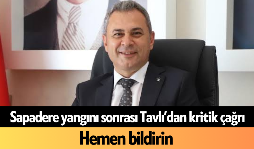 Sapadere yangını sonrası Tavlı’dan kritik çağrı