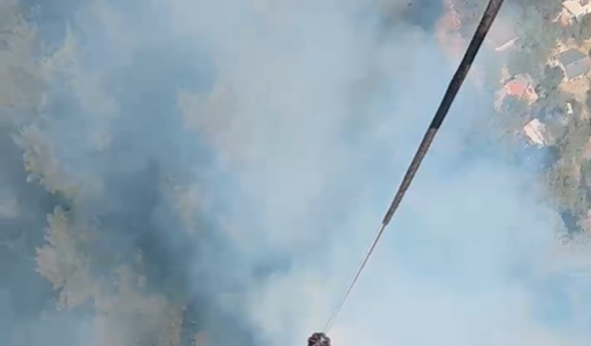 Son Dakika! Alanya Tepe Mahallesi'nde ormanlık alanda yangın çıktı
