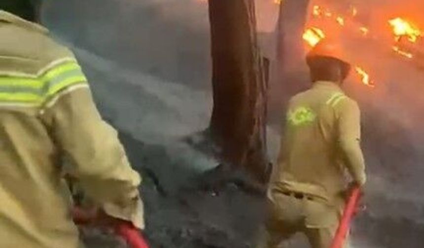 Antalya'da orman yangını! Ekiplerden tam teyakkuz