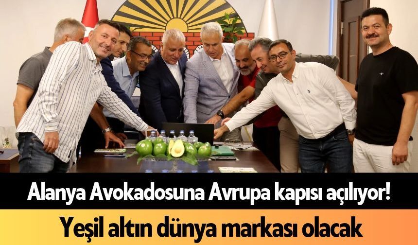 Alanya Avokadosuna Avrupa kapısı açılıyor! Yeşil altın dünya markası olacak