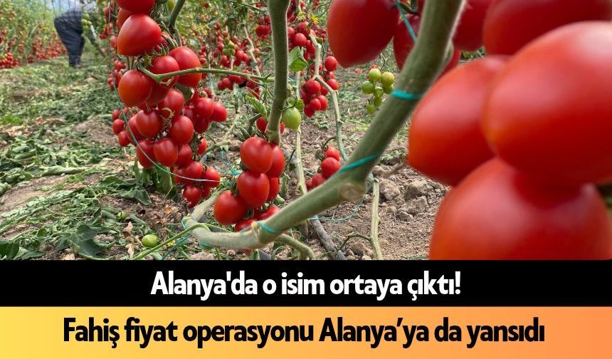 Alanya'da o isim ortaya çıktı! Fahiş fiyat operasyonu