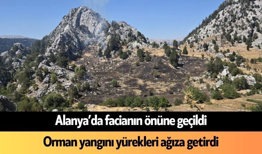 Son Dakika! Alanya'da orman yangını