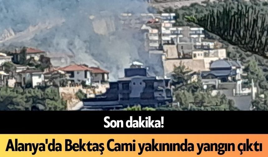 Son dakika! Alanya'da Bektaş Cami yakınında yangın çıktı