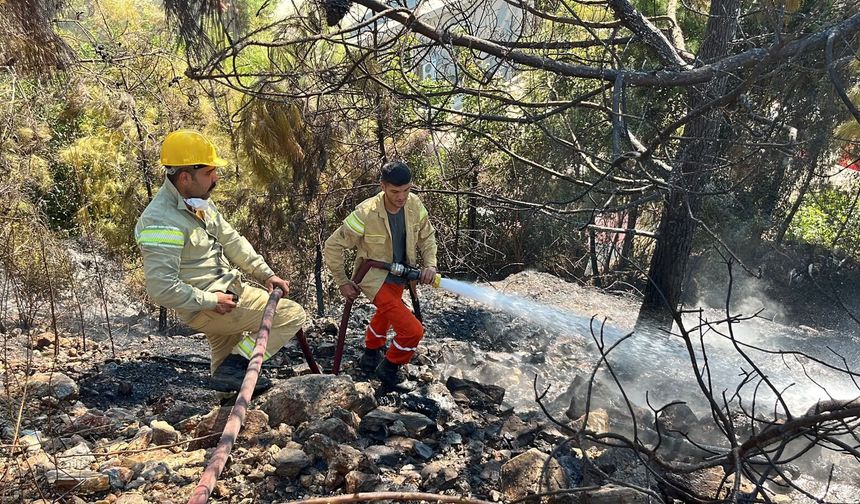 Alanya’da çıkan yangının son durumu açıklandı