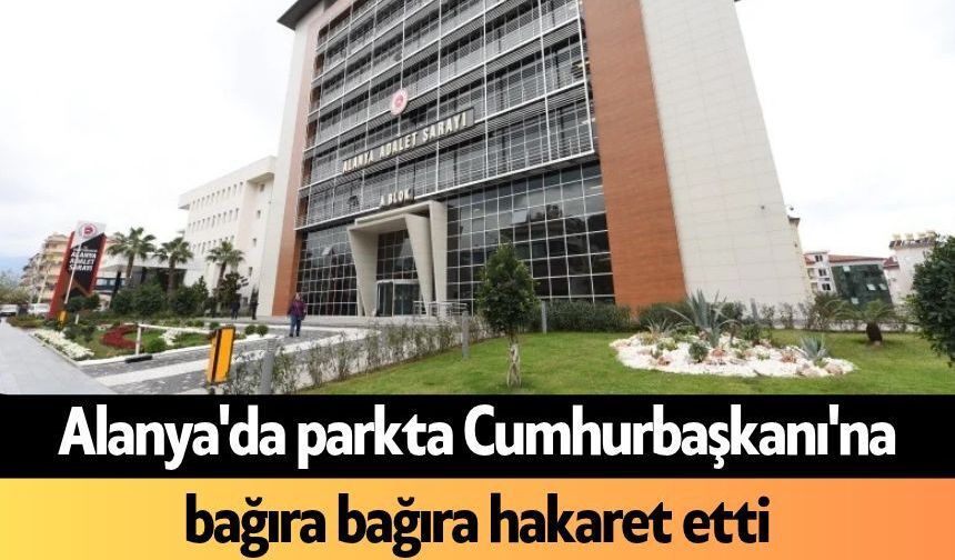 Alanya'da parkta Cumhurbaşkanı'na bağıra bağıra hakaret etti