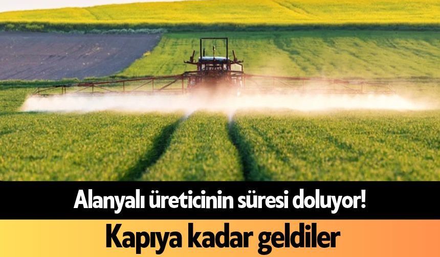 Alanyalı üreticinin süresi doluyor! Kapıya kadar geldiler