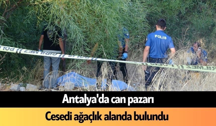 Antalya'da can pazarı: Cesedi ağaçlık alanda bulundu