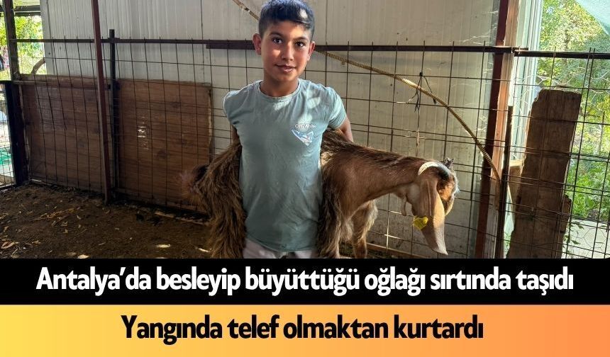 Antalya'da can dostunu sırtında taşıdı: Yangında telef olacaktı