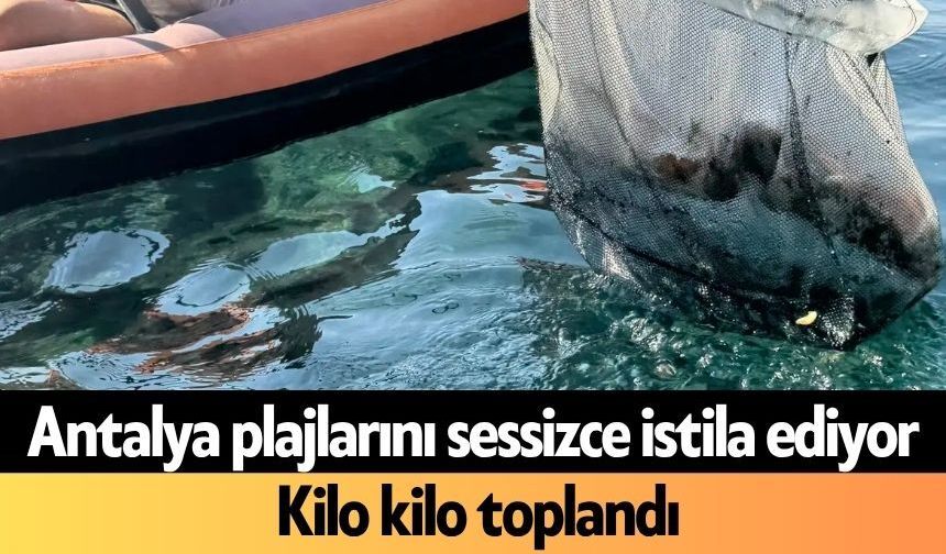 Antalya plajlarını sessizce istila ediyor