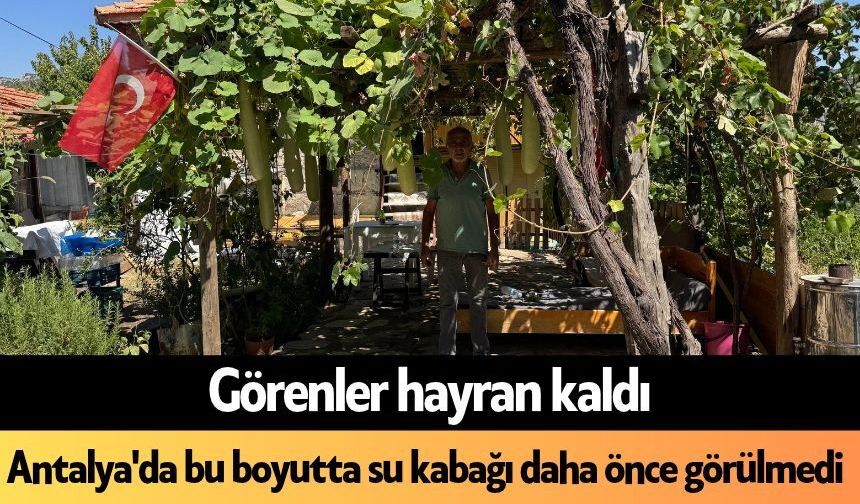 Antalya'da bu boyutta su kabağı daha önce görülmedi