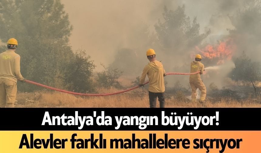Antalya'da yangın büyüyor! Alevler farklı mahallelere sıçrıyor