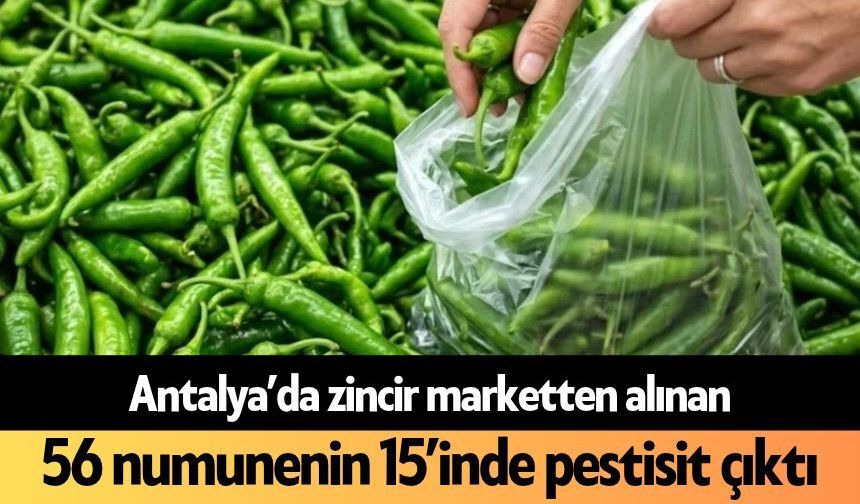 Antalya’da zincir marketten alınan 56 numunenin 15’inde pestisit çıktı