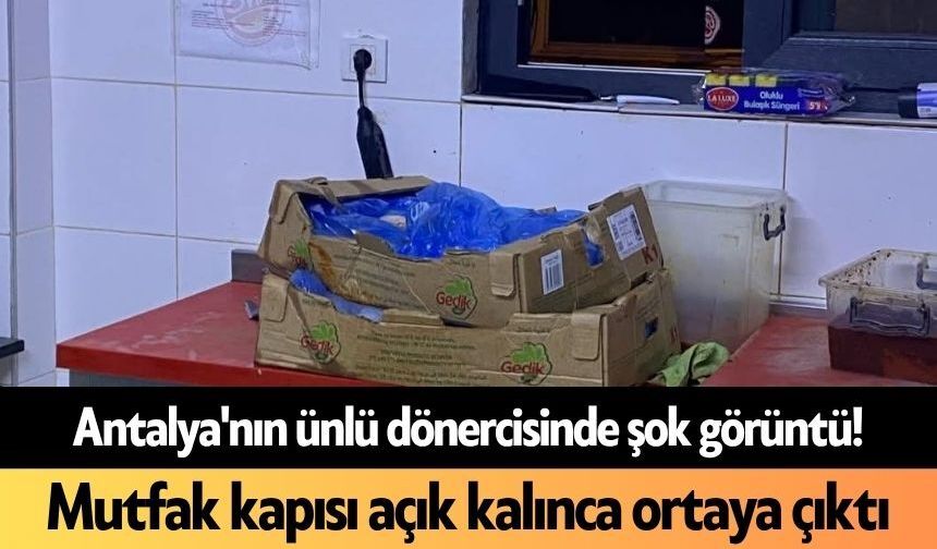 Antalya'nın ünlü dönercisinde şok görüntü! Mutfak kapısı açık kalınca ortaya çıktı