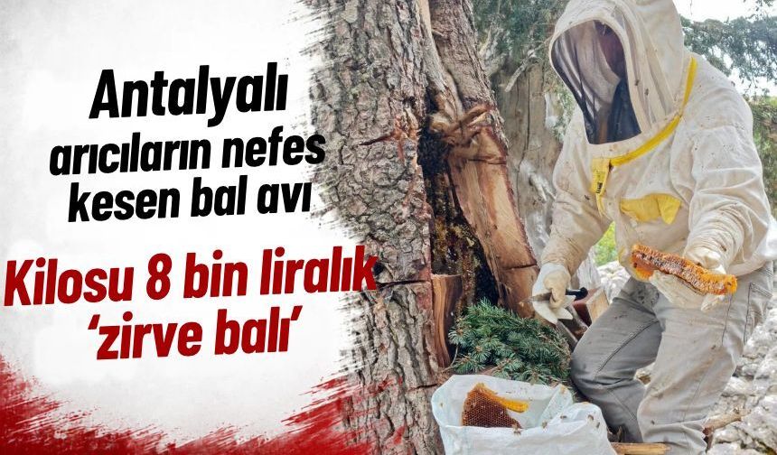 Antalya'da kilosu 8 bin liralık ‘zirve balı’