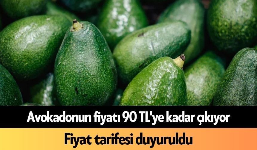 Avokadonun fiyatı 90 TL'ye kadar çıkıyor