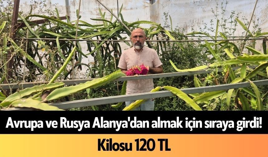 Avrupa ve Rusya Alanya'dan almak için sıraya girdi